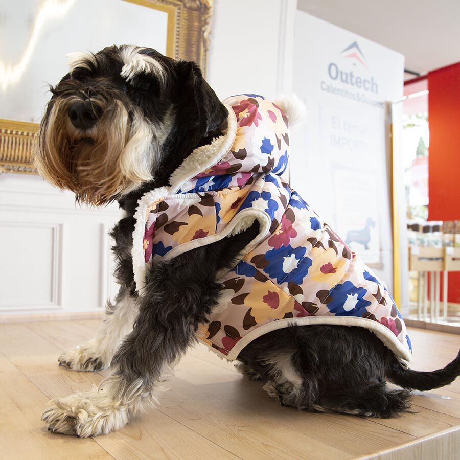 Outech Spring Abrigo para perros, , large Imagen numero 6